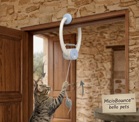 MicioBounce™ – Il Gioco Sospeso e Interattivo per Gatti
