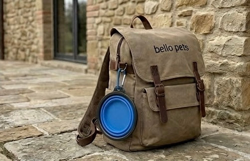 TravelBowl™: Ciotola Pieghevole in Silicone da Viaggio