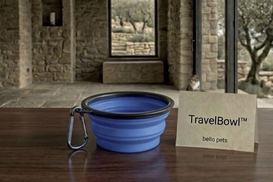 TravelBowl™: Ciotola Pieghevole in Silicone da Viaggio