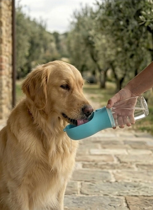 AuraBottle™: Borraccia Portatile Multifunzione